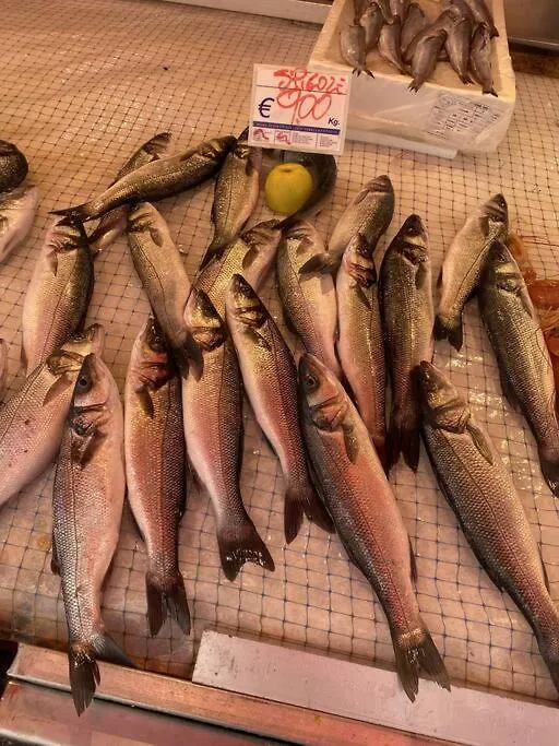 Casa Del Pescatore Di Ortigia Syracuse 0*,